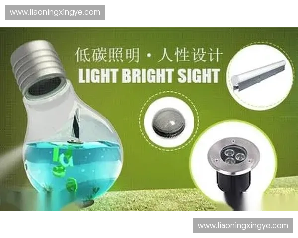 以智慧体育场照明为核心的绿色低碳照明系统创新发展研究路径与应用