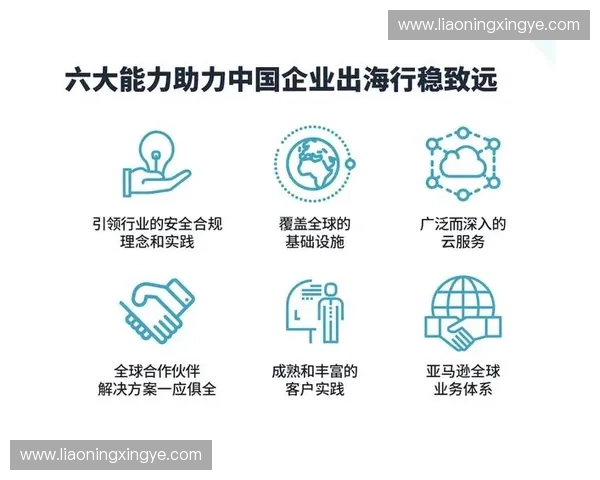 以海外运营为核心驱动的全球市场拓展与本地化增长新路径探索