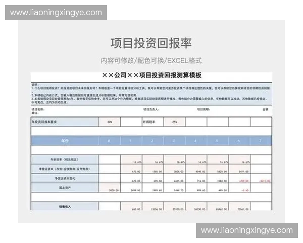 体育产业投资回报率分析与提升策略研究 体育产业投资回报率分析与提升策略研究