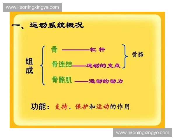 科学训练理念指导下的系统运动方案设计与效果优化研究